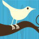 Twitter (Keyvisual)