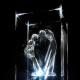 Trophäe des animago-Award