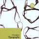 ★ der Woche: Buch + Font-CD 39,00 € 9,90 € (Fontblog)