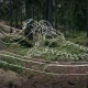 Element – Conscious of Nature (Design made in Germany – Blog)