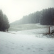 Essay: Fotografie geht nicht allein (Kwerfeldein)