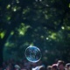 Karneval der Kulturen (esse est percipi)
