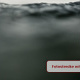 Lars Focke: Green Water (bildwerk3)