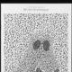 Type Specimen Catalogue (Slanted)