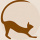 Kater Gebrauchsgrafik- und Webdesign