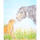 N. Warnke