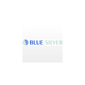 Blue Silver GmbH