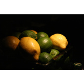 art.fotography