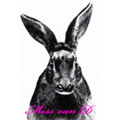 Miss van D