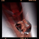 The Photographic Art Company ®