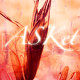 ASKet Design