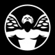 ICARUS creative