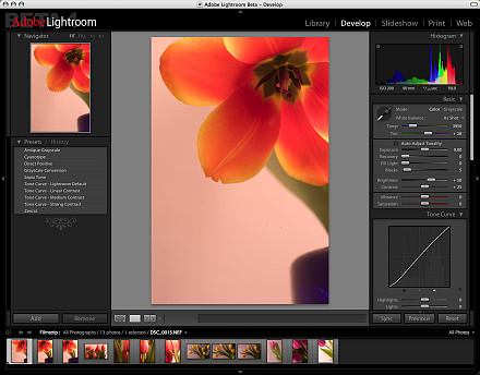 Adobe Lightroom Beta 4 – Entwicklungs-Modus (Bildschirmfoto)