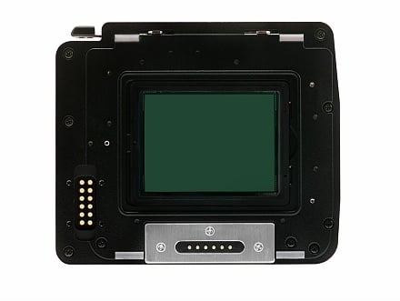 Mamiya ZD-Rückteil (Sensor)