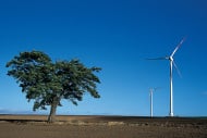 Windkrafträder in der Landschaft