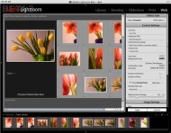 Adobe Lightroom Beta 3, „Web“-Modul