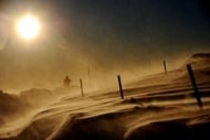 „Schneetreiben: Ein Schneesturm im Harz vernebelt die Sonne.“