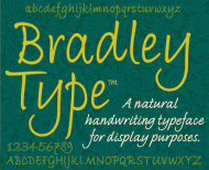 Bradley Type (Illustration)