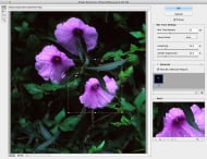 Photoshop CC: Verwacklungs-Reduzierung