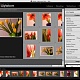 Adobe Lightroom Beta 3, „Web“-Modul