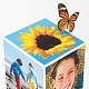 Paket: Photoshop Elements 6 und Premiere Elements 4