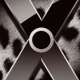 Apple Mac OS X „Leopard“ (System-DVD)