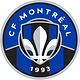 «We heard them loud and clear» – Club de Foot Montréal reagiert auf Fan-Proteste und ändert… (Design Tagebuch)