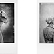 Groteske Selbstportraits auf Polaroid (Kwerfeldein)