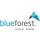 blueforest Design. Medien