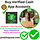 Buy Verified Cash App Accounts