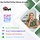 How to Buy Verified Perfect Money Accounts Online