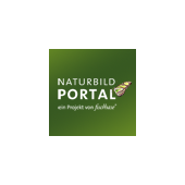 Naturbildportal