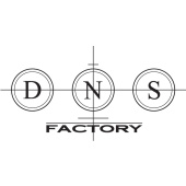 DNS multimedia factory GmbH