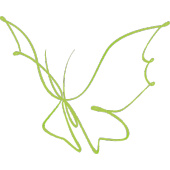 Kreativ Büro Cadonau