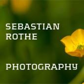 Sebastian Rothe