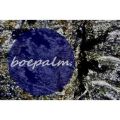 BoePalm