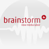 brainstorm | new media labor
