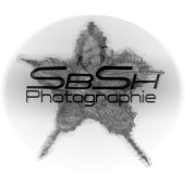 SbSh-Photographie