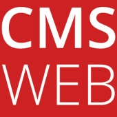 CMS Webagentur