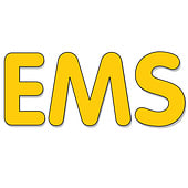 Ems GmbH