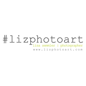 #lizphotoart