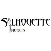 Silhouette Model Management