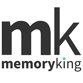 Memoryking GmbH & Co. KG