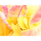 Mueller, Catrin