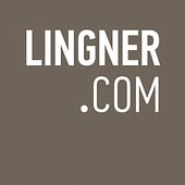 Lingner Consulting New Media GmbH