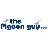 The Pigeon Guy