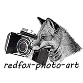 redfox-photo-art