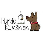 Hundemagazin Hunde Rumänien