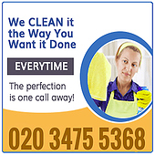 Professional Cleaners Ealing