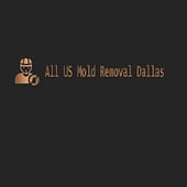 Get In Mold Removal Dallas